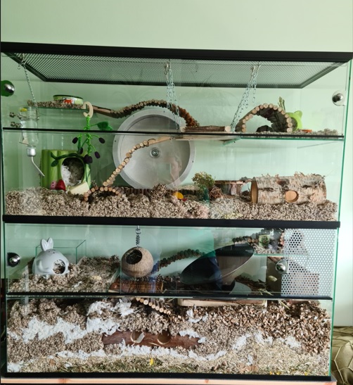 Knaagdieren terrarium uitbreiden met een opzetstuk 100x40x50